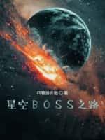 星空BOSS之路