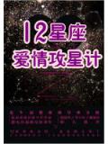 12星座爱情攻星计