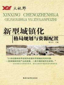 大视野系列--新型城镇化格局规划与资源配置