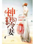 豪门闪婚：帝少的神秘冷妻