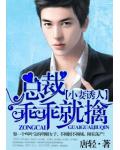总裁老公，乖乖就擒