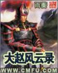 大赵风云录