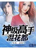 神级高手混花都