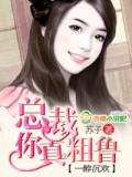 一醉沉欢:总裁,你真粗鲁
